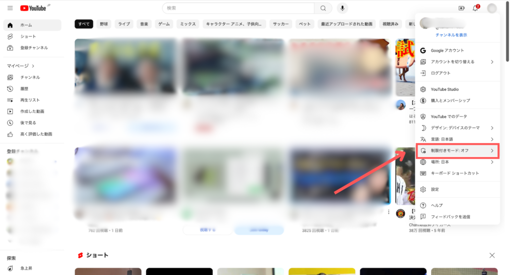 YouTube 年齢制限